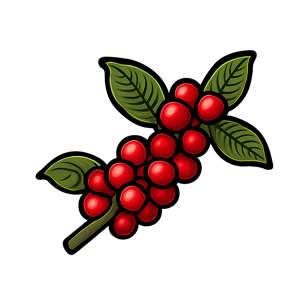 Cascara