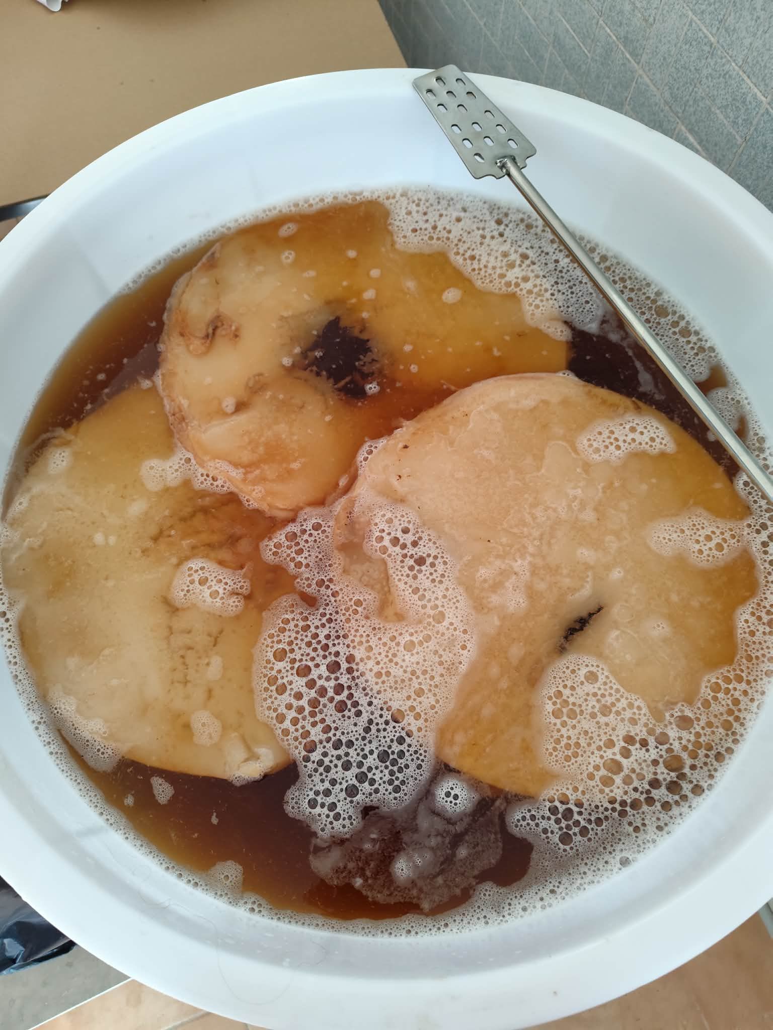 Živá vs. pasterovaná kombucha